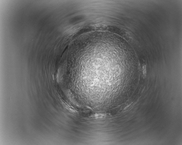 X0000056370963200509091645