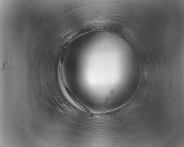 X0000056370964200509091645