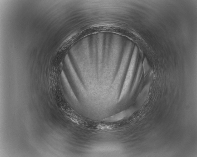 X0000056370967200509091644