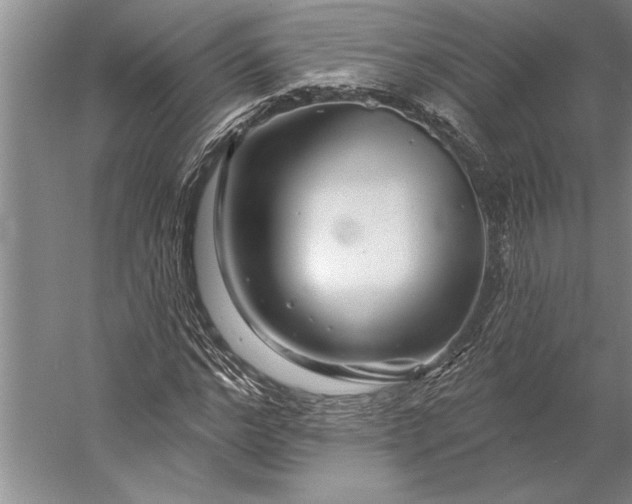 X0000056370968200509091644