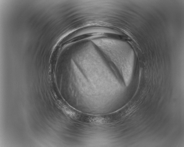 X0000056370971200509091644