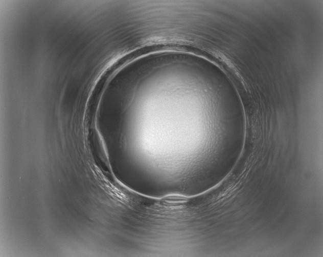 X0000056370975200509091644