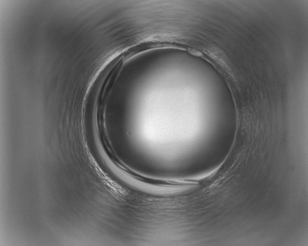 X0000056370976200509091644