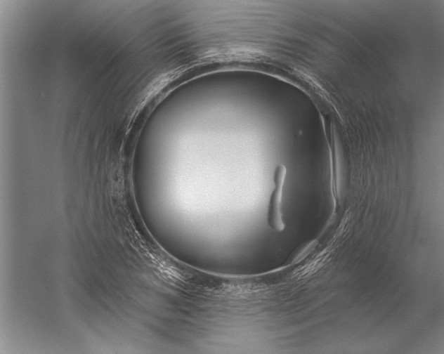 X0000056370978200509091644