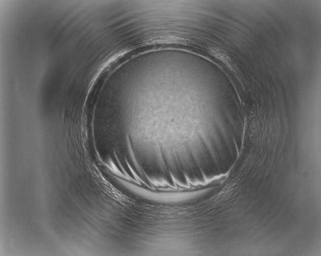 X0000056370979200509091644