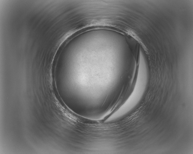 X0000056370980200509091644