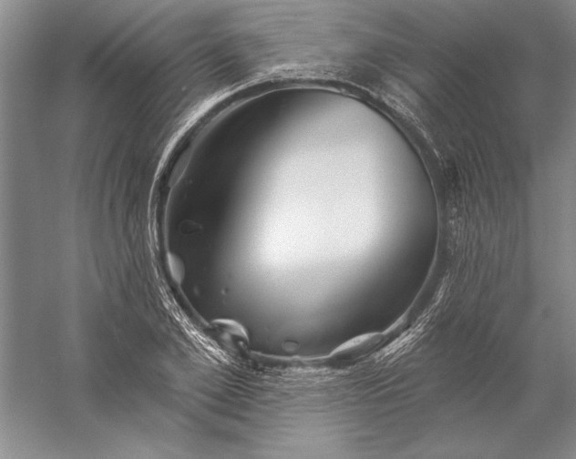 X0000056370981200509091644