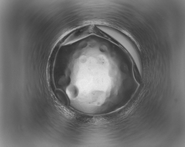 X0000056370983200509091644