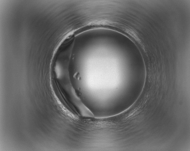 X0000056370984200509091644