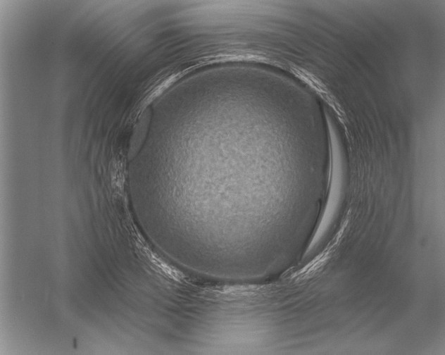 X0000056370985200509091644