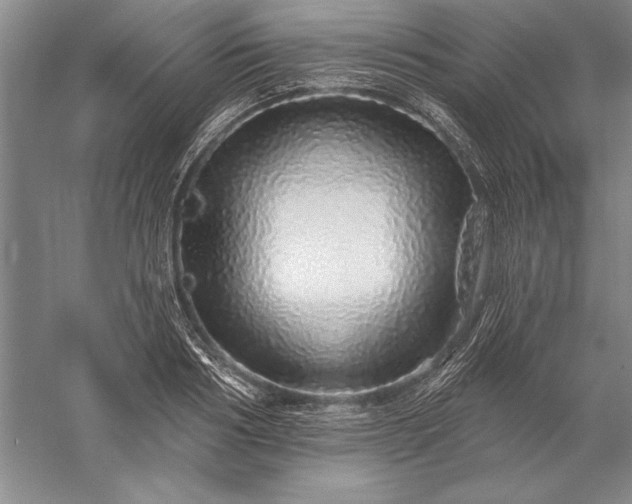 X0000056370986200509091644