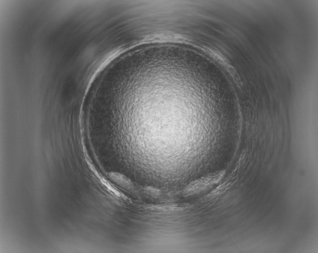 X0000056370990200509091644