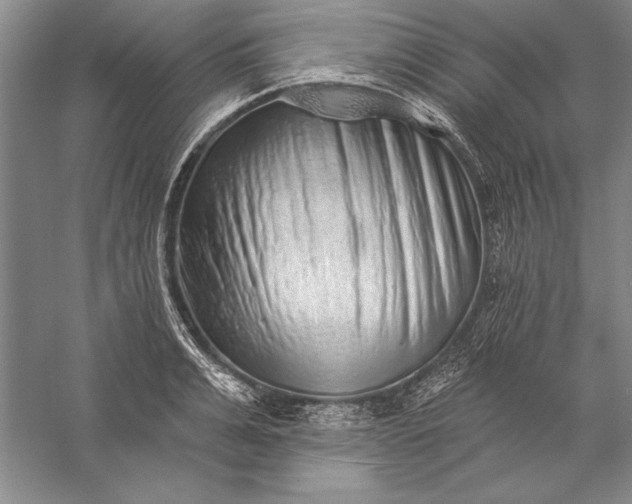 X0000056370991200509091644