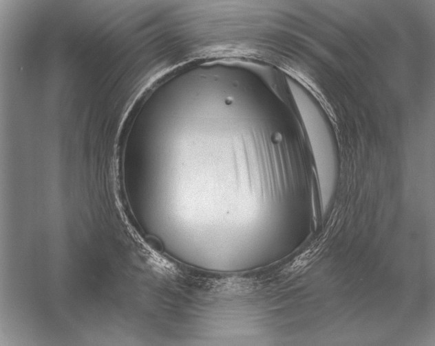 X0000056370992200509091644