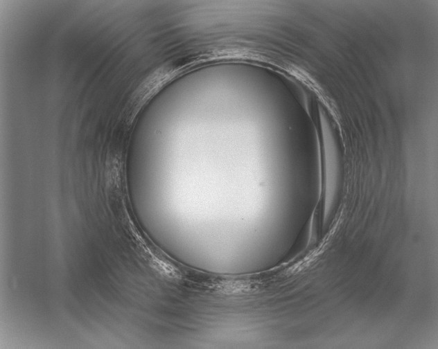 X0000056370993200509091644