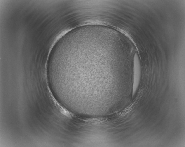 X0000056370995200509091644