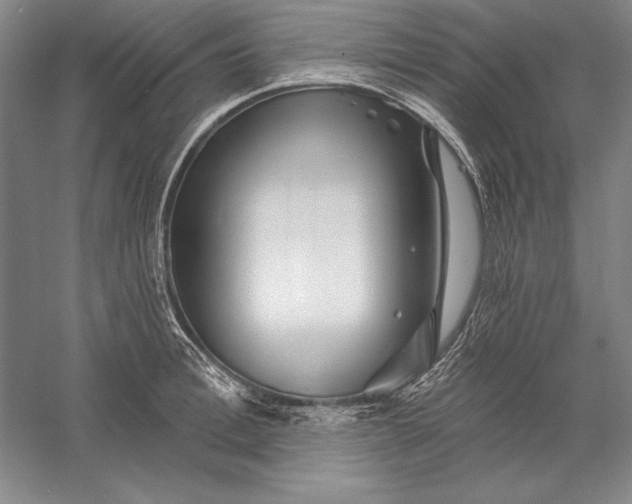 X0000056370996200509091644