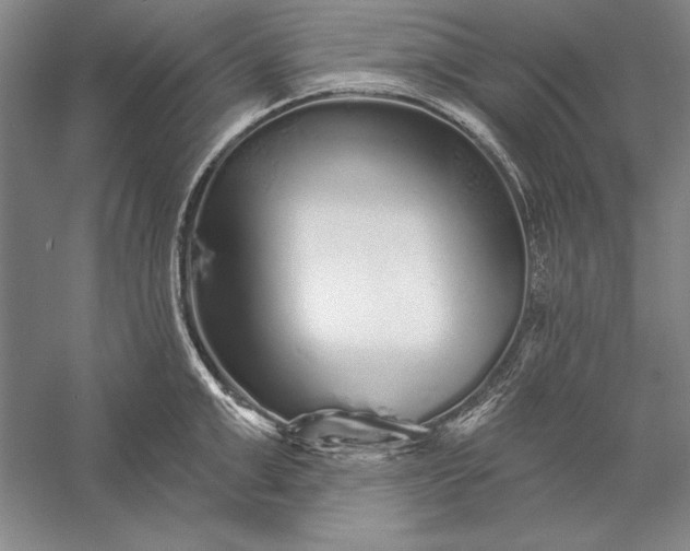 X0000056370999200509091644