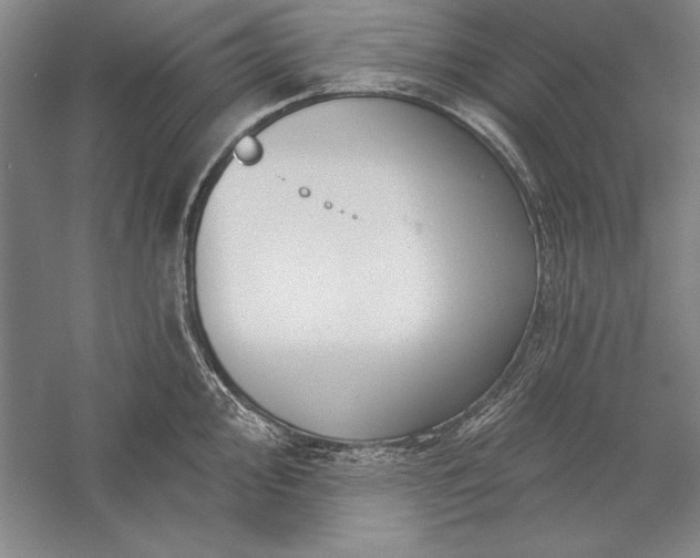 X0000056371000200509091644