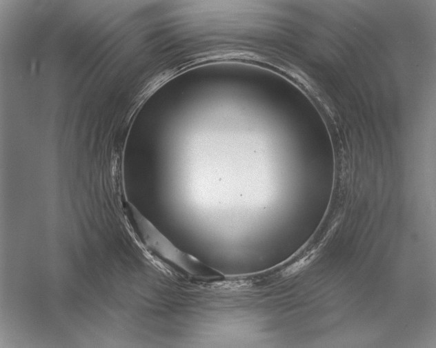 X0000056371001200509091644