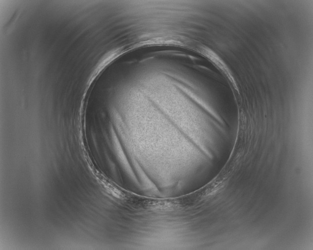 X0000056371002200509091644