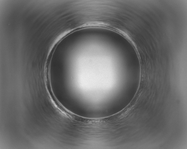 X0000056371003200509091644