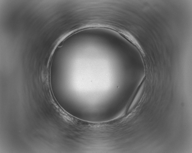 X0000056371004200509091644