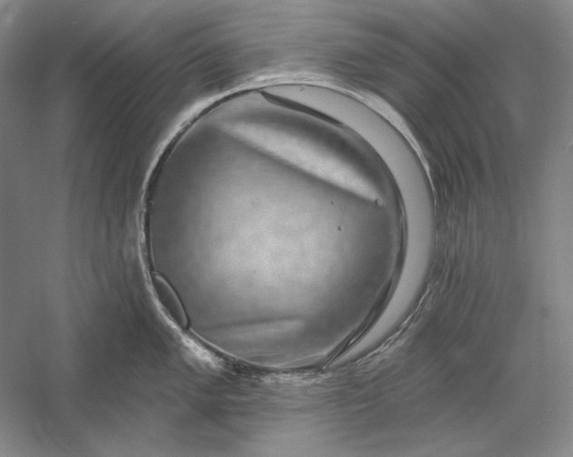 X0000056371005200509091644