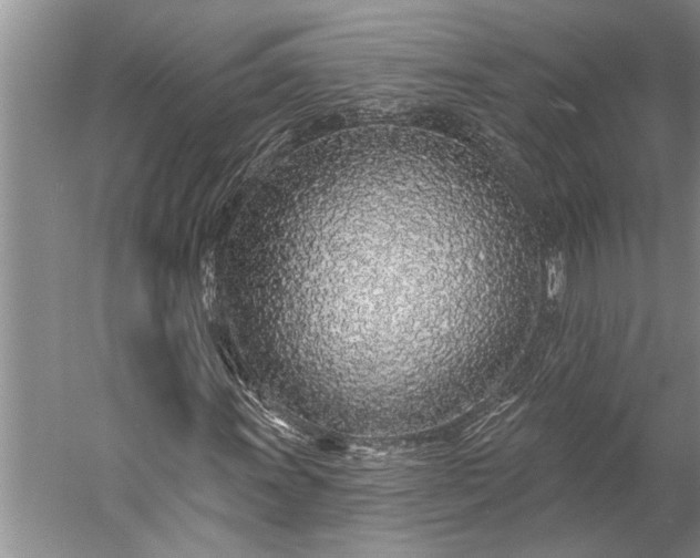 X0000056371011200509091643