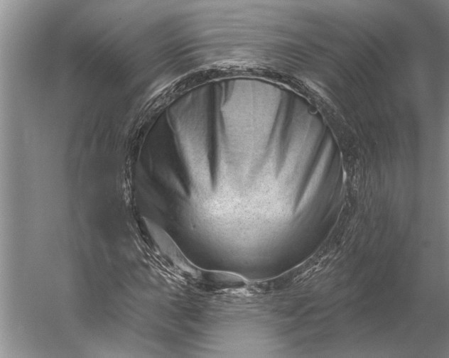 X0000056371015200509091643