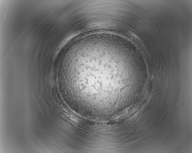 X0000056371019200509091643