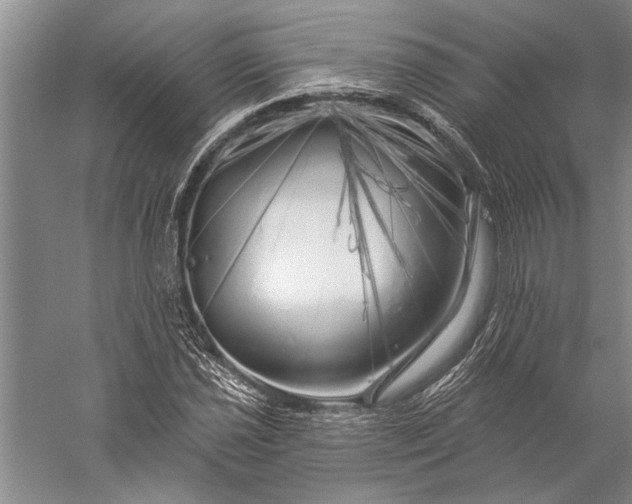 X0000056371021200509091643