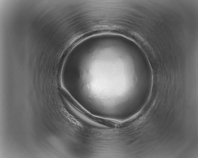 X0000056371025200509091643