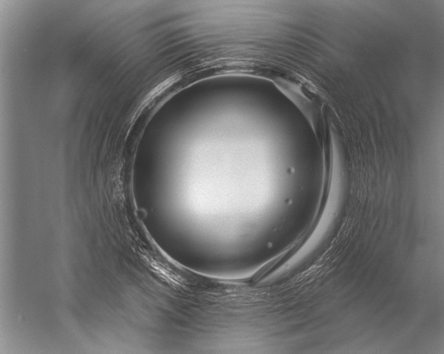 X0000056371026200509091643