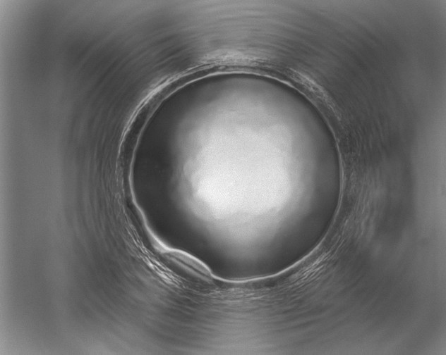 X0000056371027200509091643