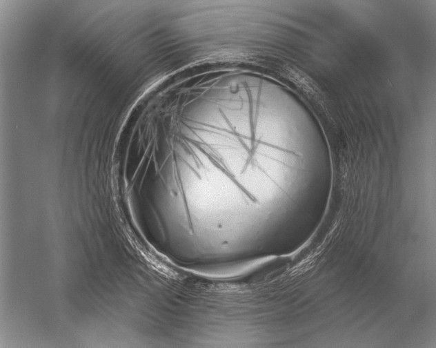 X0000056371029200509091643