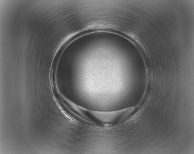 X0000056371030200509091643