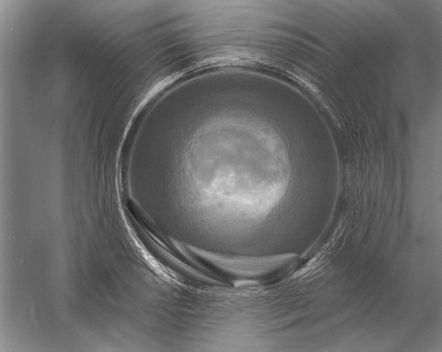 X0000056371034200509091643