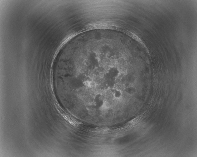 X0000056371035200509091643