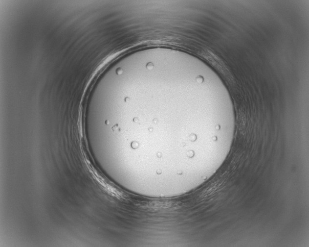 X0000056371036200509091643