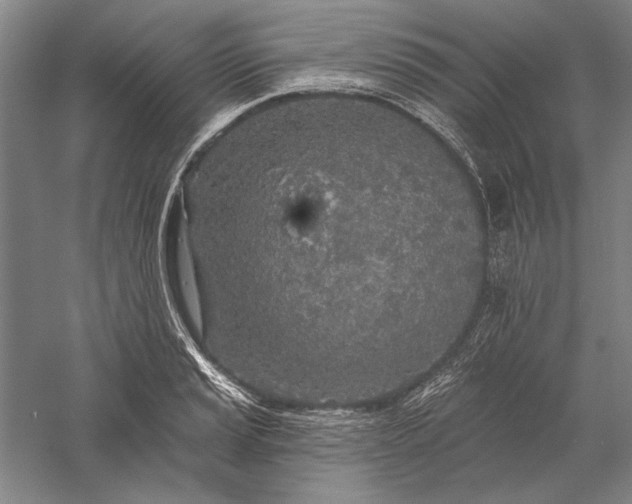 X0000056371037200509091643