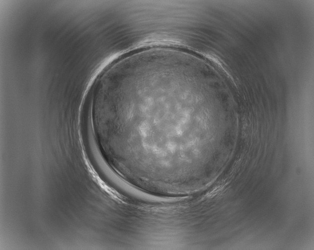 X0000056371038200509091643