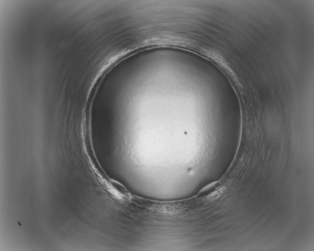 X0000056371040200509091643