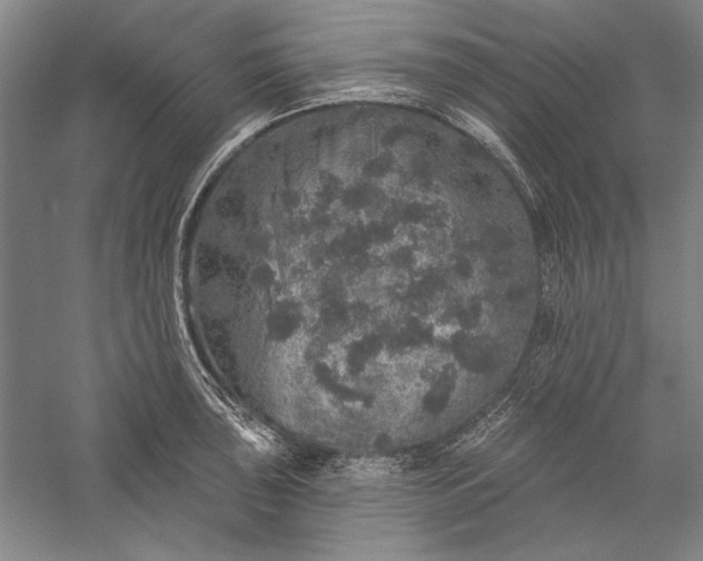 X0000056371043200509091644