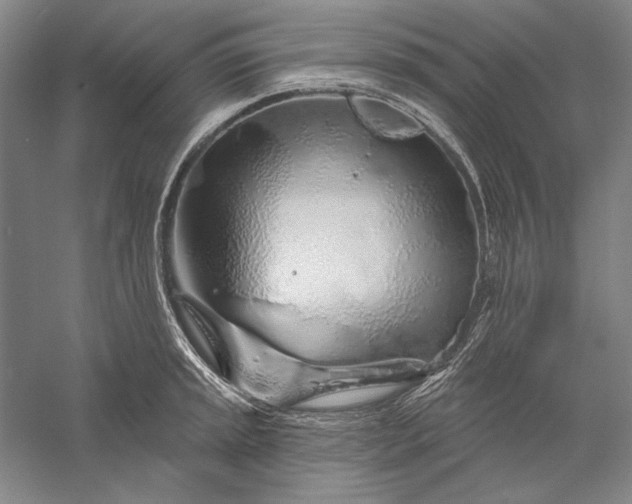 X0000056371045200509091644