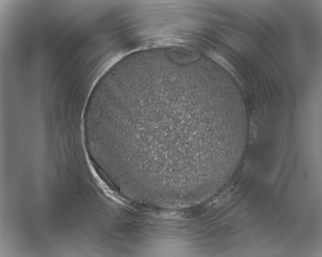 X0000056371047200509091644