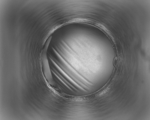 X0000056371049200509091644