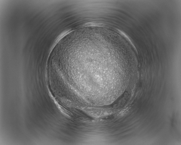 X0000056371050200509091644