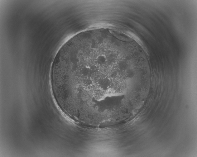 X0000056371055200509091644