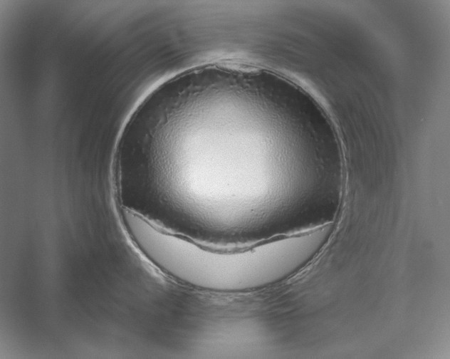 X0000056371056200509091644